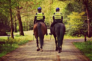 politie